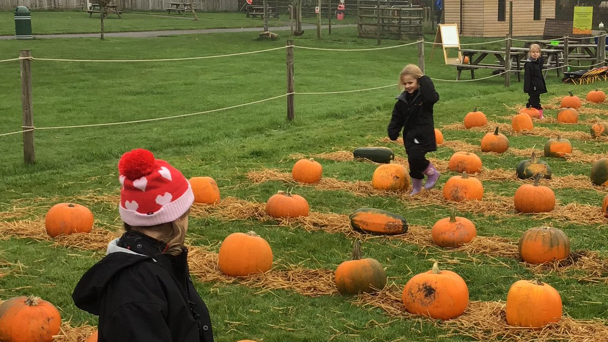 @StPeterStPaul_ Reception class having a lovely time @MatlockFarmPark Pumpkin Patch. What a fabulous day, thanks to everyone who made the day so great ! #happyschool #schoolmemories #pumpkinpower 🎃😀👍 @royalhospital