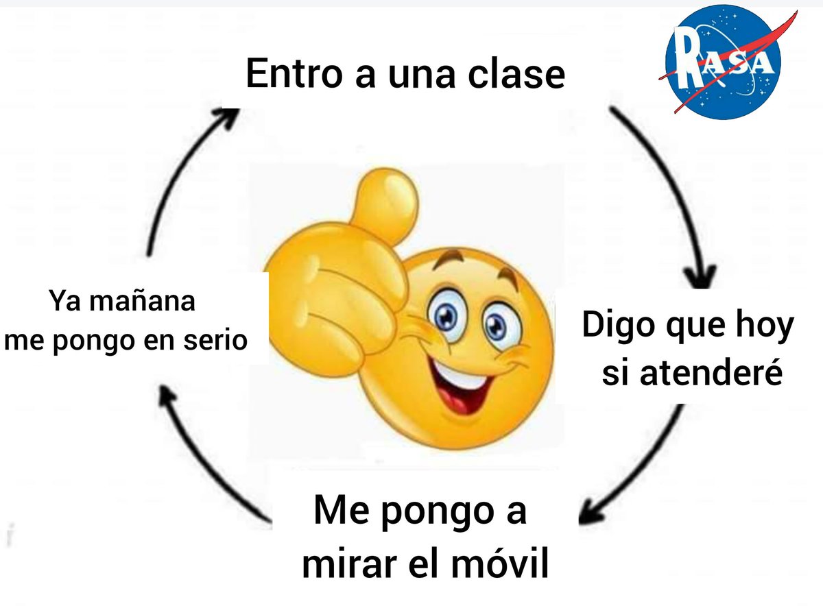 rasa_oficial tweet media