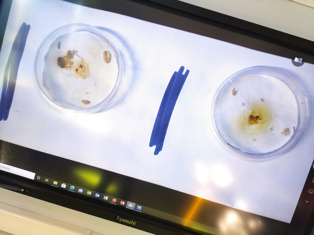 Céline Famelart-Gohier tweet media