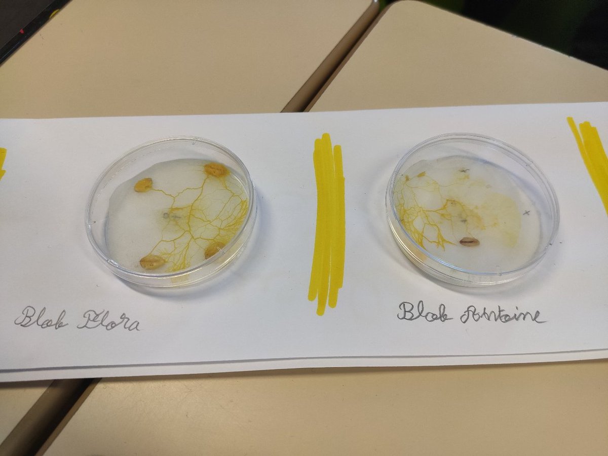 Céline Famelart-Gohier tweet media