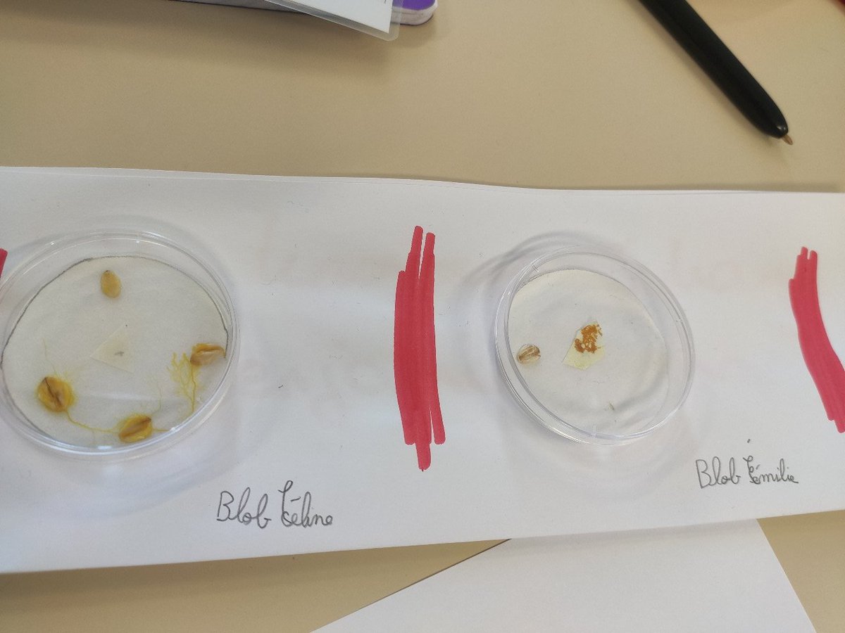 Céline Famelart-Gohier tweet media