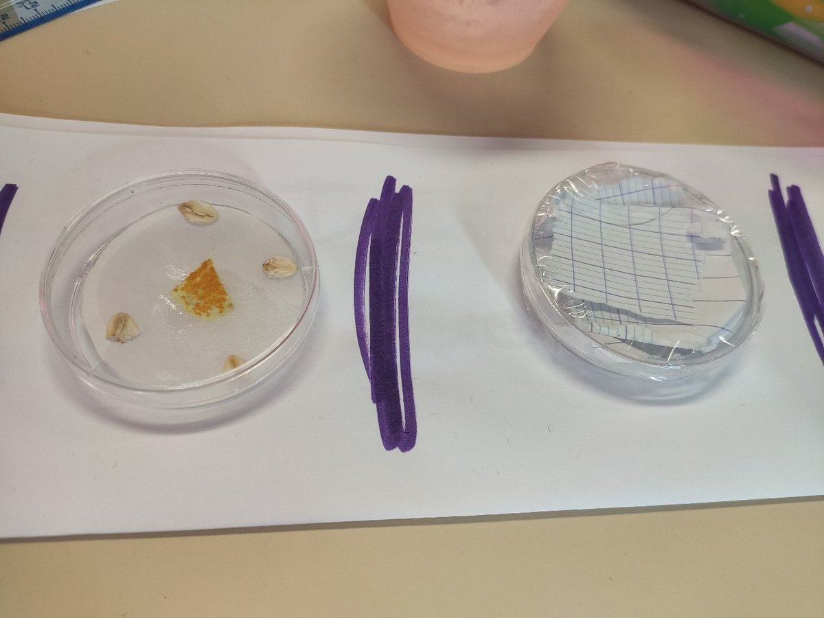 Céline Famelart-Gohier tweet media