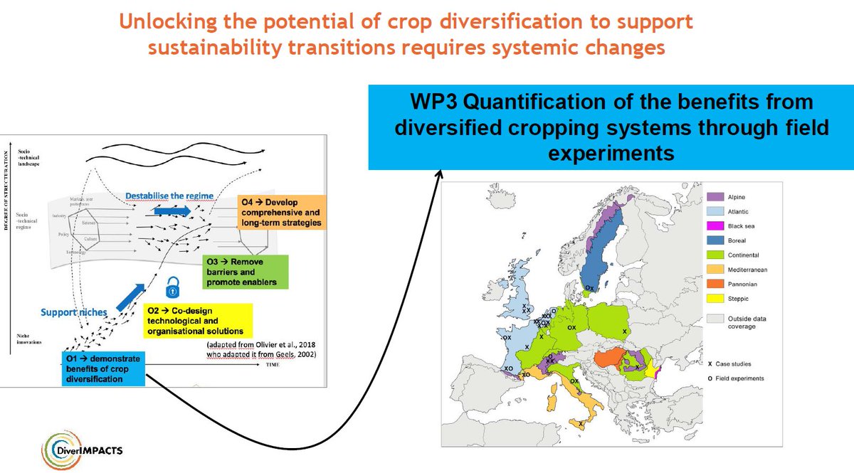 ENRD_Evaluation's tweet photo. Antoine Messéan from @DiverIMPACTS presenting 'Diversification through Rotation, Intercropping, Multiple cropping, Promoted with Actors and value Chains Towards Sustainability' #GPW_Online #RDP_Evaluation #Environment #Sustainability 🌱🌳📡 https://t.co/XXZQ4DY3xd