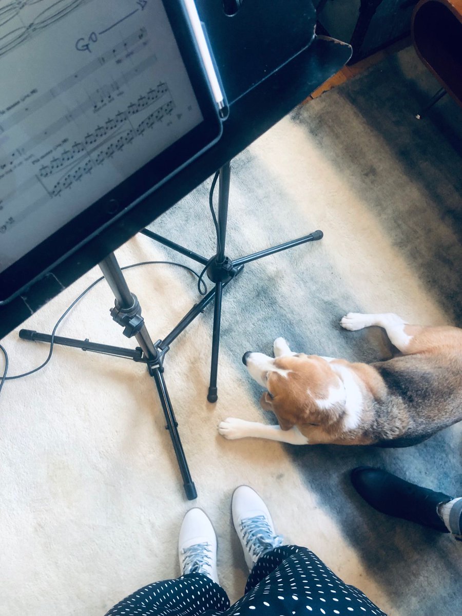 LizzieJHolmes's tweet photo. Joined by a little helper, Rupert 🐶 for our final recording session for #VeritableMichael last week! It’s been such a pleasure working on this piece with @tomfloyd1 #SophieGoldrick @shadowopera. #Podcast coming soon and keep your eyes peeled for a live stage show next year! https://t.co/5knZC3OJO6