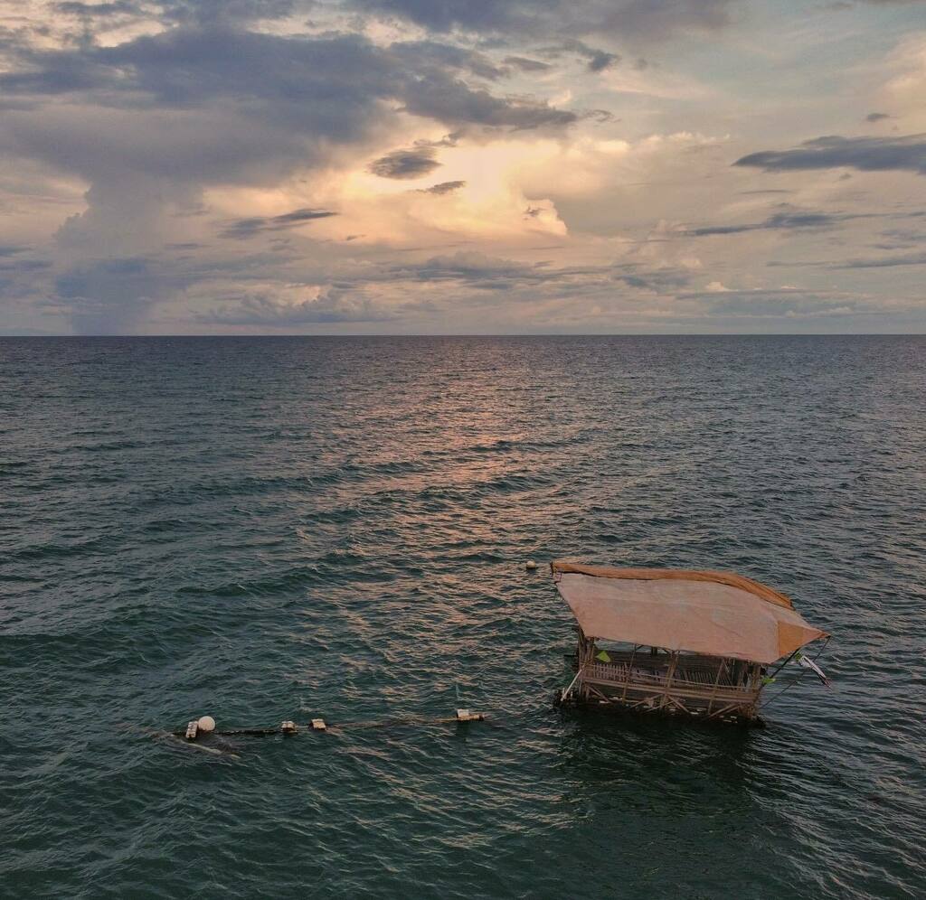 ubo_pakes's tweet photo. The hut at the sea
#sea #hut #nipa #floatingcottage #cottage #seascape #sunset #dji #djimini2 #drone #dronephoto #dronephotography #aerial #aerialphoto #droneshot #dronepilot #dronestagram #liloan #cebu #philippines https://t.co/vw0JDW8tj0 https://t.co/1m4tjvldvz