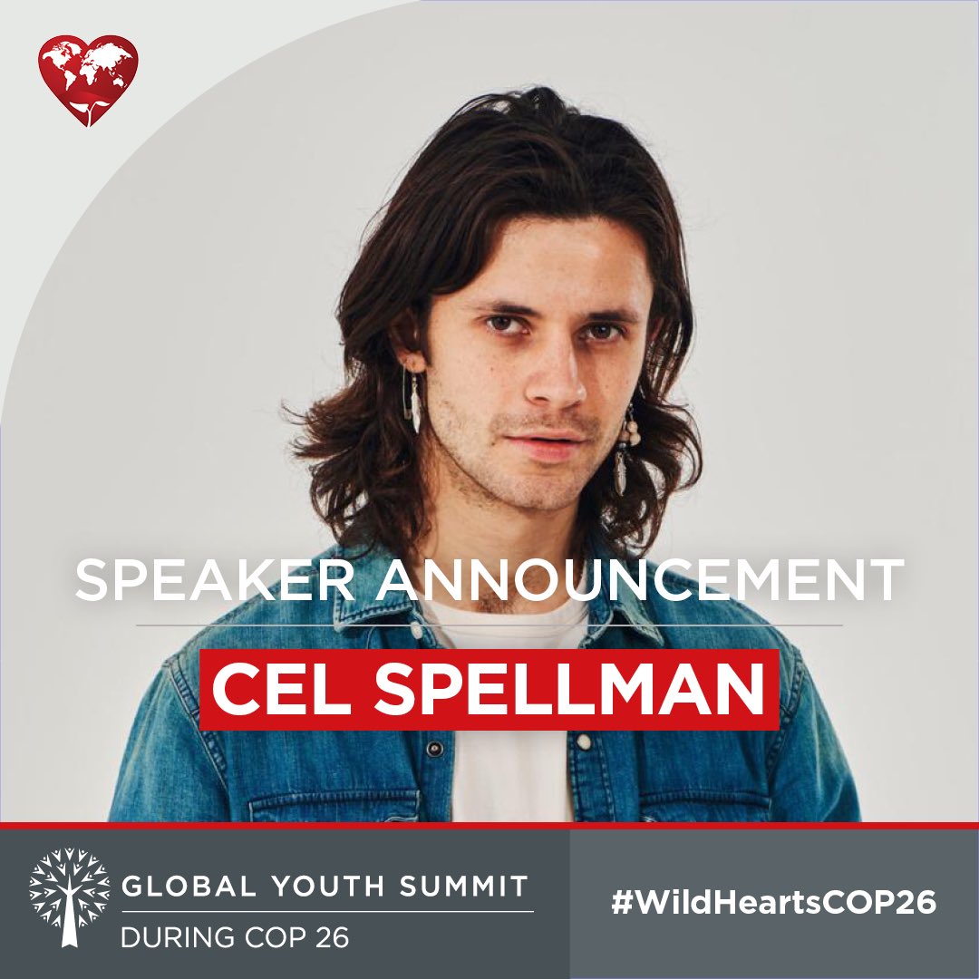 WildHearts Group tweet media