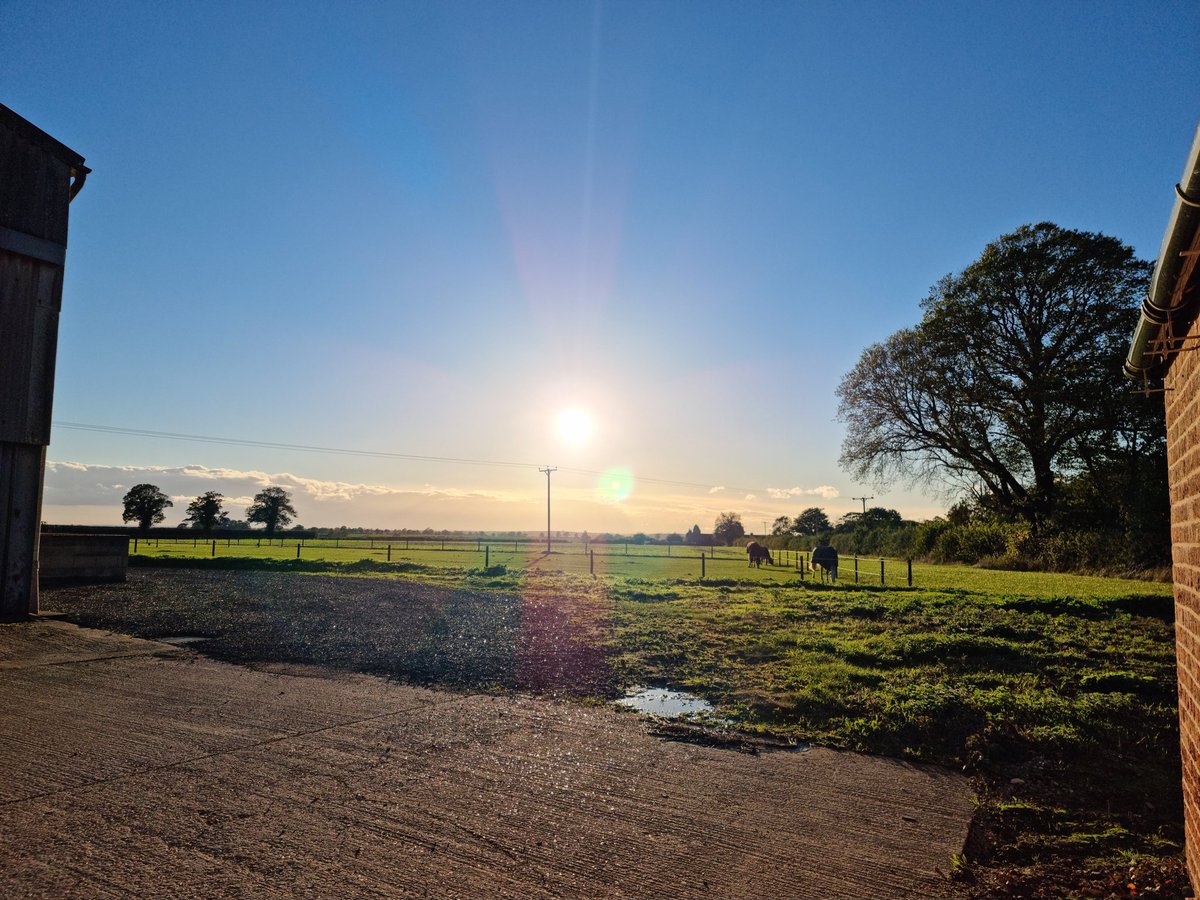 Beautiful evening sun at <a href="/ExpressiveAudio/">Expressive Audio</a> HQ yesterday