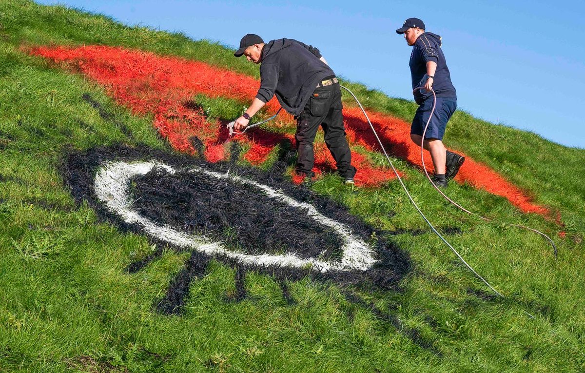 Giant poppies have been painted on the grass pyramids alongside the M8 motorway near Bathgate by the groundsmen from Murrayfield and Linemark UK Ltd to mark the launch of the 2021 PoppyScotland appeal and the start of the Remembrance period :: <a href="/poppyscotland/">Poppyscotland</a> #poppy #scotland