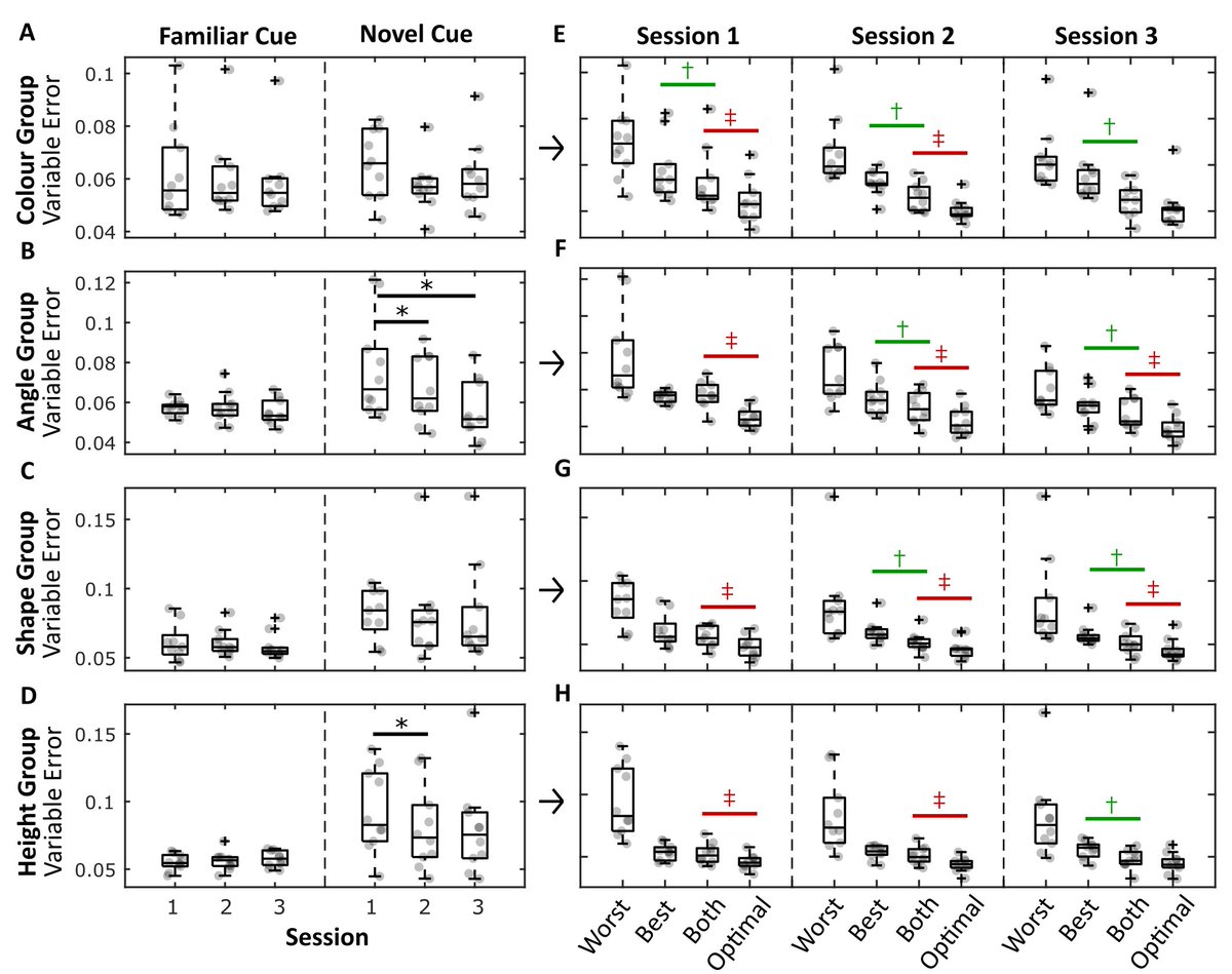 StaceyAston's tweet photo. 4 yrs and 300 hrs of data collection later... FINALLY my 1st experimental paper with @UlrikBeierholm and @MarkoNardini showing that novel cues are consistently combined with familiar cues but not always each other is a pre-print!🥳https://t.co/KowpMtX3TT https://t.co/VBp8l7Zm9i