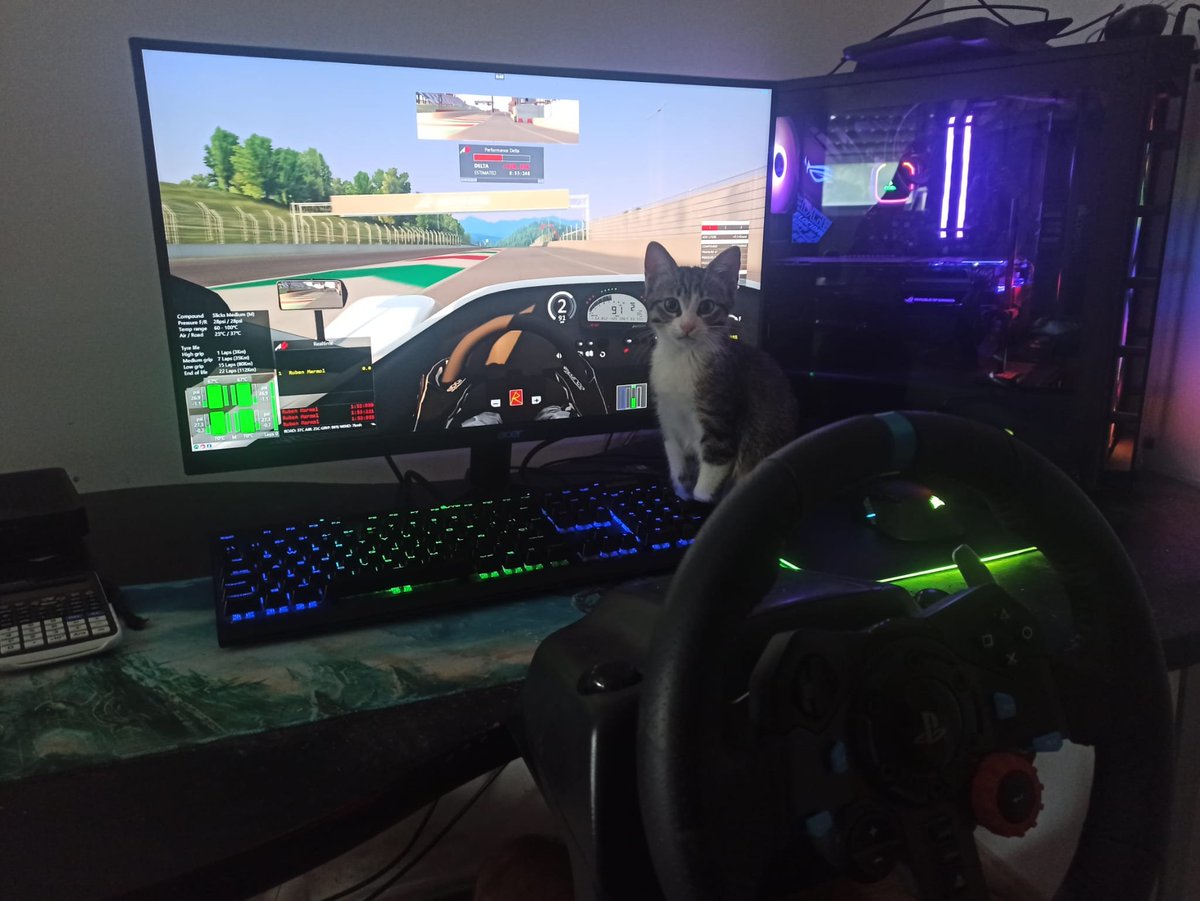 👀 En las oficinas de WSR acabamos de recibir unas imágenes de los tests de pretemporada del Team Galleta. 
Parece que han decidido correr utilizando copiloto 🐈😍