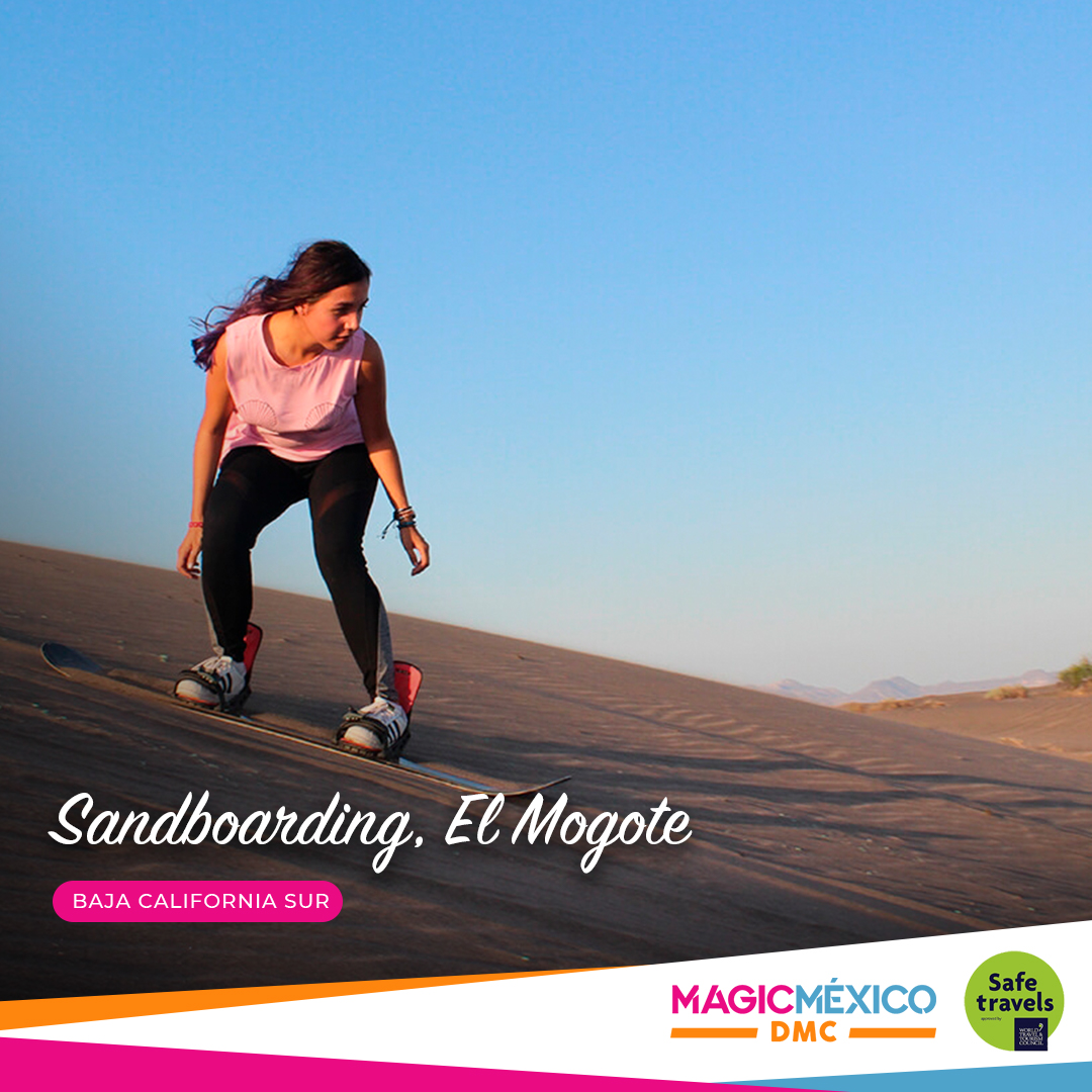 MagicMexicoDMC's tweet photo. Disfruta de la gran experiencia en la BAJA🏄🏼‍♂️🏄🏻🏜
Practica Sandboarding en las dunas de El Mogote📍
Pregunta sin compromiso por nuestros tours👇🏽🚍

📲Sigue nuestras redes sociales: @magicmexicodmc 

#tours #mogote #baja #sandboarding #ViveloConMagicMéxicoDMC 
#bcs #turismo  #lapaz https://t.co/9diCSuNuxA