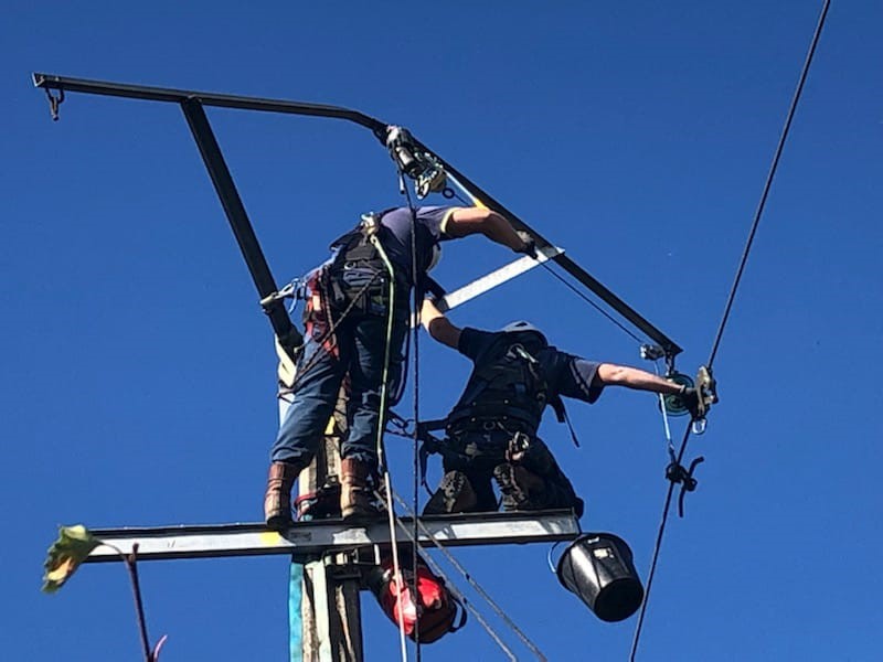 Véronique Pauly tweet media