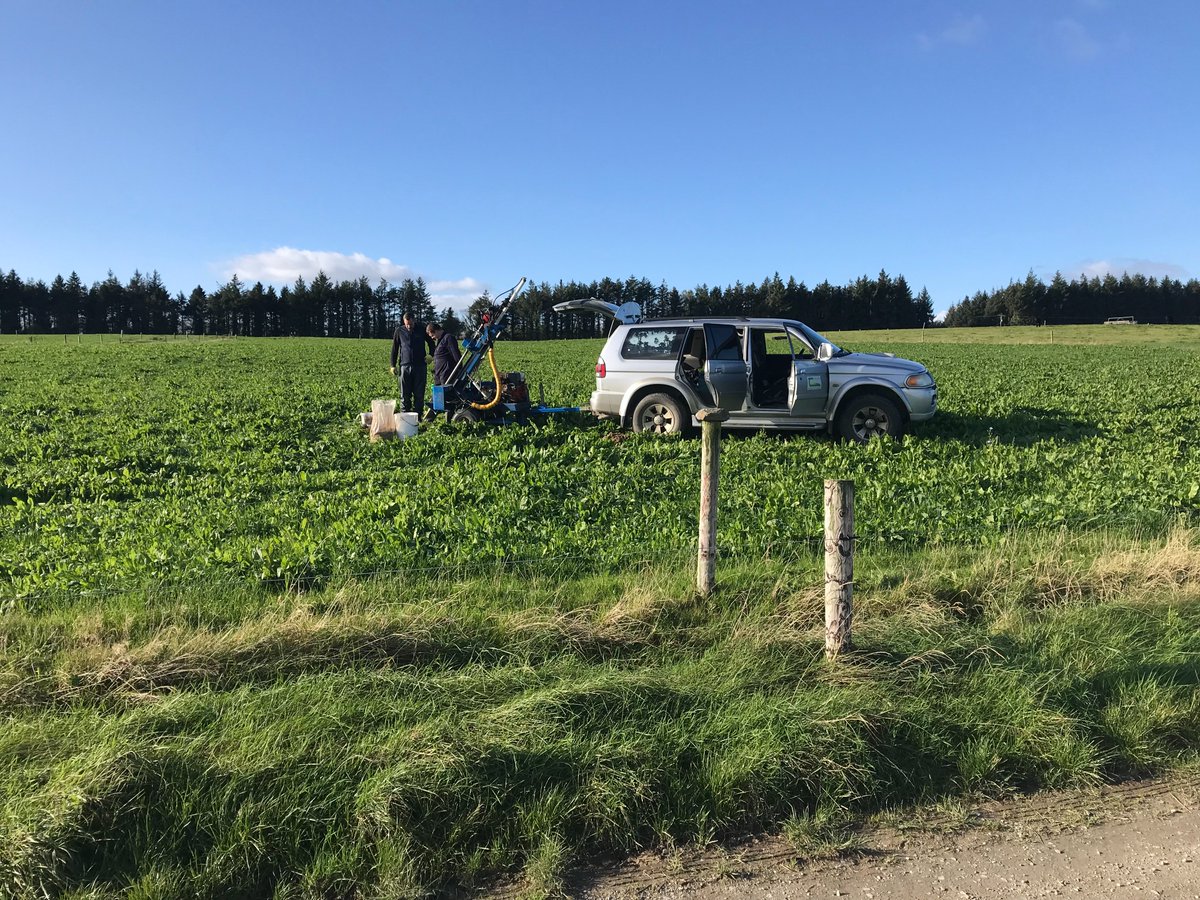 Prof Dr Owen Fenton tweet media