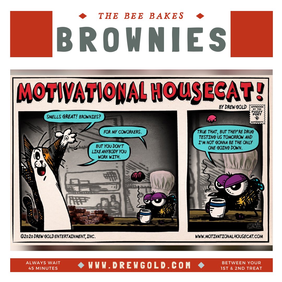 MotivationalKat's tweet photo. Thanks for your support! 👍🍺❤️🎉🎊🐝😺
https://t.co/olzF1LEkmT
.
#comics #penandink #comix #fuzzypoet #litterboxwisdom #cartoonart #undergroundcomix #drewgold #webcomic #webcomics #motivationalhousecat #instacomic #theangrybee #professormeowmeow #instacomics #webtoon #comics https://t.co/EpgxctuUOC