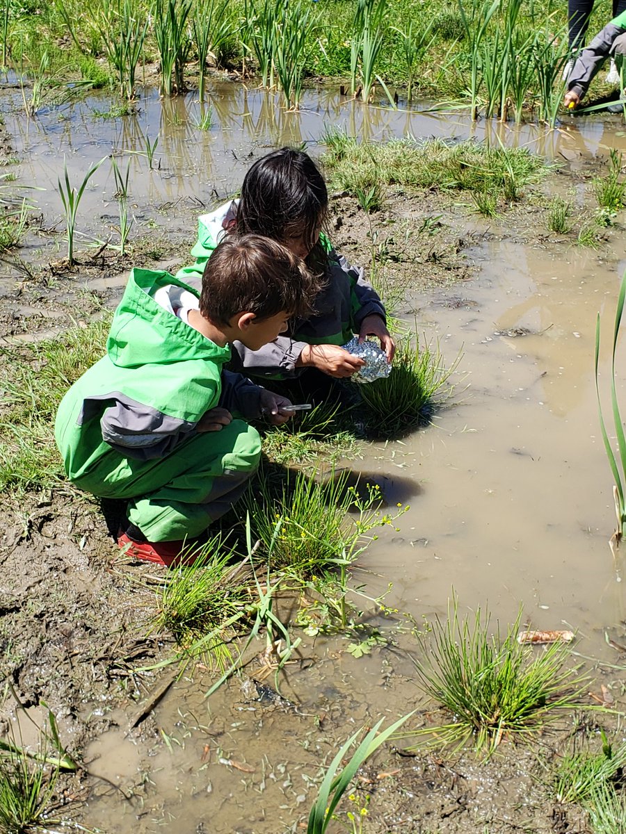 TBT 
A WOEF grant funded the outdoor kindergarten program at North Holland.
Thanks to our donors!!  Kids love the fresh air, creative learning opportunities and mud!
 <a href="/PantherWeather/">West Ottawa Weather</a> @Principal_NHWO @ <a href="/North_Holland/">NorthHollandWO</a>   <a href="/WOEFgrants/">WOEF</a> <a href="/MrsBellKinder/">Gail Bell</a> 
<a href="/NorthHollandPTC/">North Holland PTC</a> 
<a href="/MsMyersNH/">Katryne Myers</a>