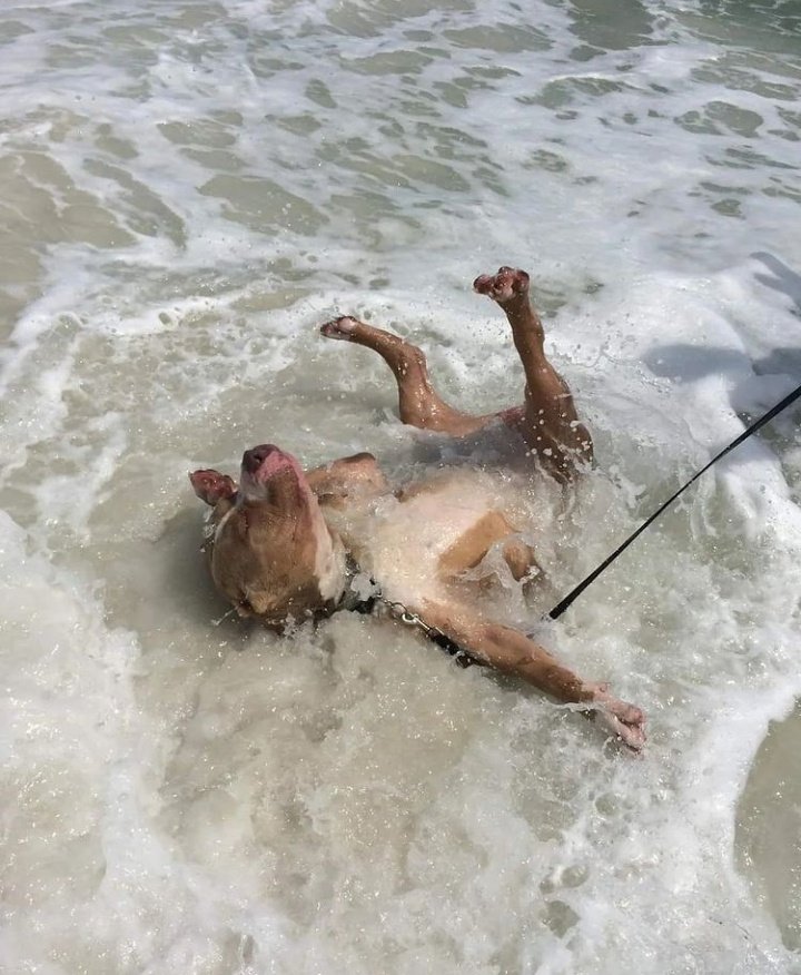 Así quiero estar de relajado en la vida
