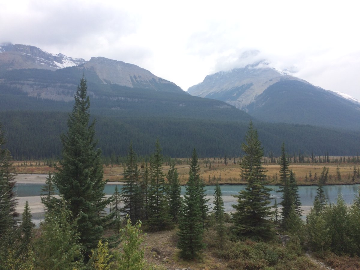 katechkah's tweet photo. Sjíždíme do Banffu, cestou nás čeká ještě hodně ledovcových jezer. A teď otázka za sto bludišťáků, proč má ta voda takovou barvu? #lajftrip https://t.co/9ckb7NRFZc