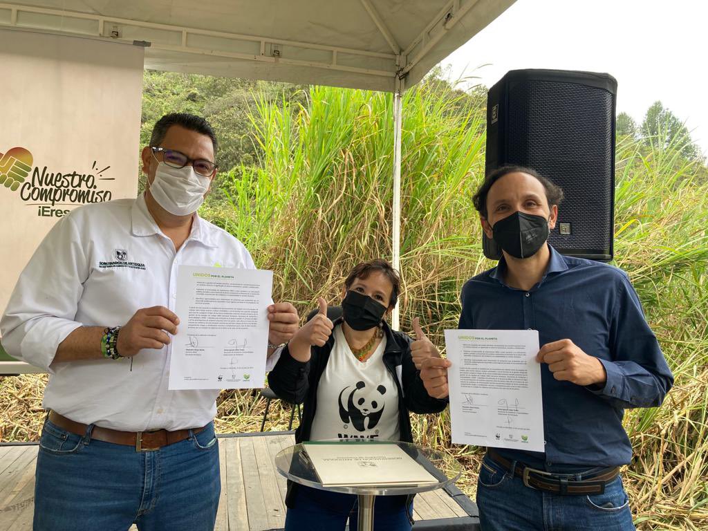 carlosiuribe's tweet photo. Estamos felices en @GobAntioquia @Ambiente_Ant por la adhesión de @ANDI_Colombia a la Alianza #UnidosPorElPlaneta para enfrentar UNIDOS la #EmergenciaClimática y qué mejor forma de hacerlo  que sembrando 5.000 árboles en @mmarinilla https://t.co/kBBlMb4bHs