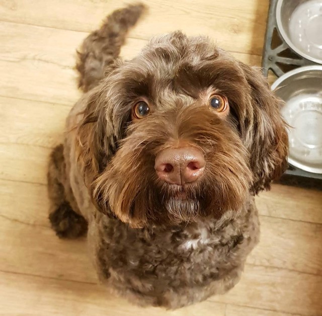 So, we're new around here...we're business growth specialists and we'd love to share conversations about start-ups in the UK, what small biz owners see as their main pain points and what you wish you'd known before starting your business. In return, you can see pics of our dog!
