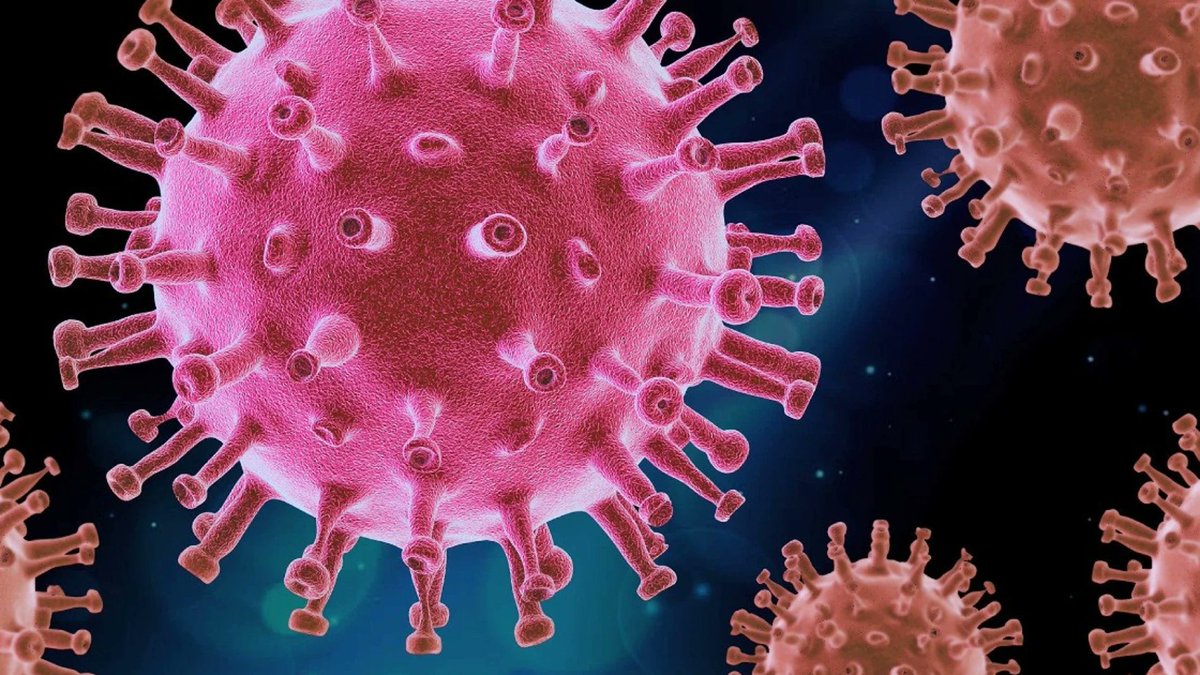 11_Noticias's tweet photo. INTERNACIONAL🌎🚨| La #OMS vigila la nueva mutación de la variante #Delta del coronavirus llamada #AY4.2
La variante ha sido detectada en el Reino Unido y Rusia, países donde los contagios y muertes por #Covid19 han incrementado en las últimas semanas. https://t.co/LK7J7gsLqz