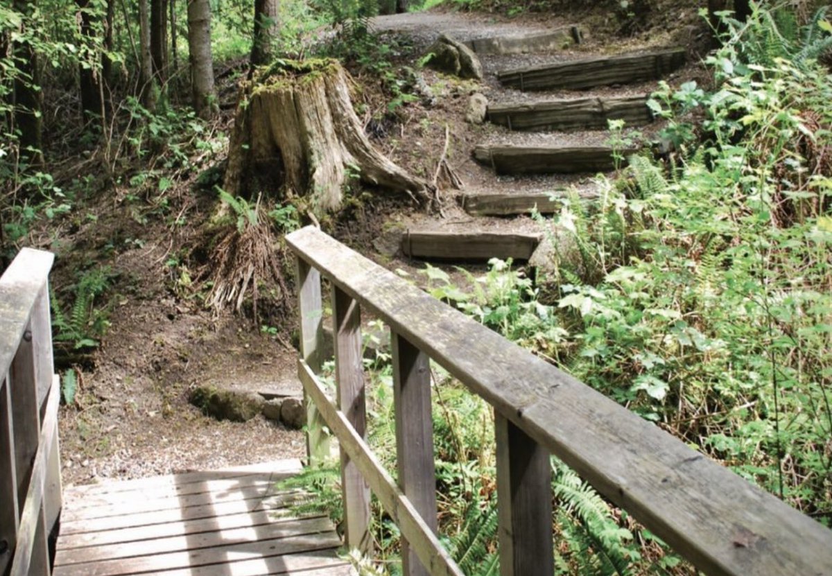 OpportunitySSI's tweet photo. Drake Road Trail improvements will give more people reason to get outside and walk! Increased interest in the outdoors and hiking has grown on island. To support the benefits of staying active outdoors, new funding had been secured https://t.co/fsffH3YiKm #SaltSpringIsland https://t.co/zoFlg0uiup