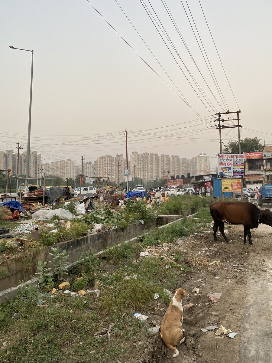 MohtaSubhash's tweet photo. @swachhbharat @myogiadityanath @CMOfficeUP @PMOIndia @dmgbnagar1 @OfficialGNIDA # All Honourables please🙏🙏 # Unauthorised possessions # level of Cleanliness in New upcoming Smart City# Amidst High Rise Buildings # No arrangements to sanctify the area# 🙏🙏 https://t.co/2Q9bF9IVAm