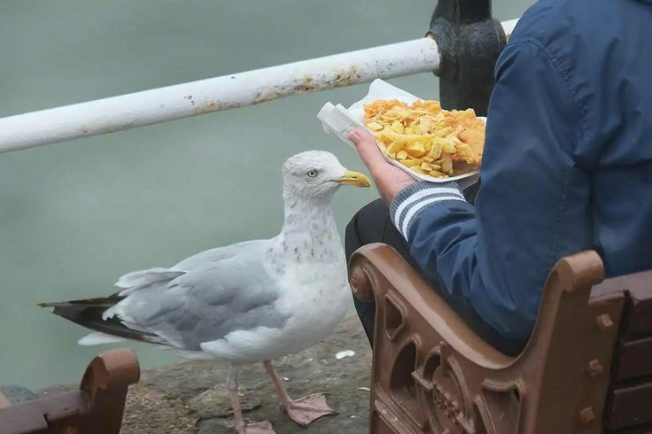 #IfYouCouldReadMyMind you would give up the chips without a fight