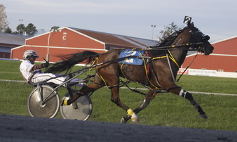 Racebook tweet media