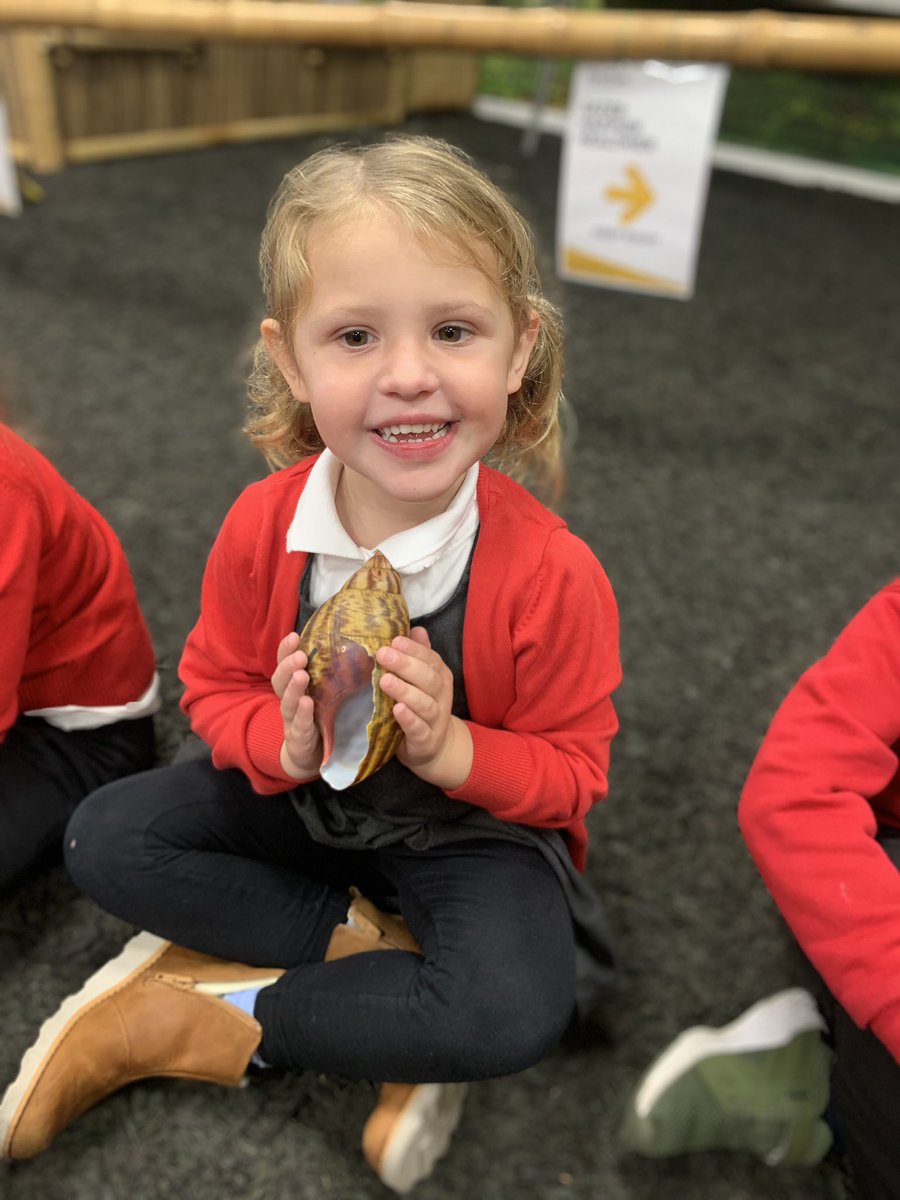 MayalsSchool's tweet photo. Reception have had a fantastic time visiting Plantasia today! They’ve learnt about the different animals that live in each layers of the rainforest. 🪰🐜🪳🐍🦎🌿🌱 

Diolch yn fawr @Plantasia6 Mae pawb wedi cael hwyl a sbri 👍🏼😊 
#MayCommunity https://t.co/0sT9lBeMZo