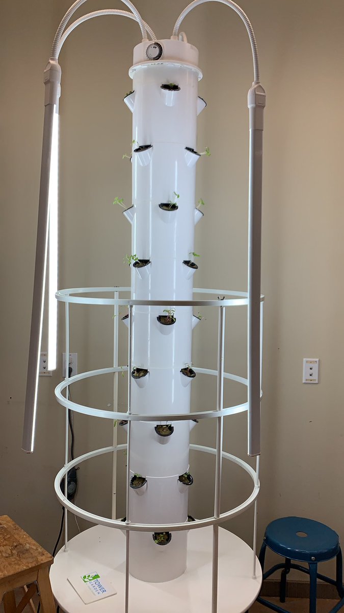 FCSLightLab's tweet photo. 5th Graders are exploring urban farming methods as part of fall Cities theme. They will manage our vertical grow towers and donate the greens locally to help lessen food insecurity in our community. #MakerEd #ServiceLearning #FallProject @friendscentral @briebdaley https://t.co/jc3VIuuzsR