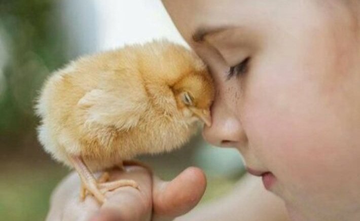 Bir dilek tuttum tweet media