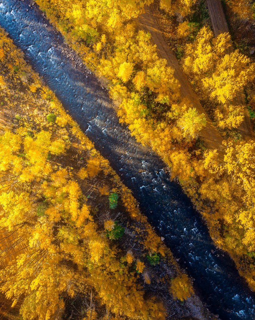 Gold + Blue + Gold = ________?

Answer below!

@Travel_Colorado @Colorado @earthpix_x_ @DronePals