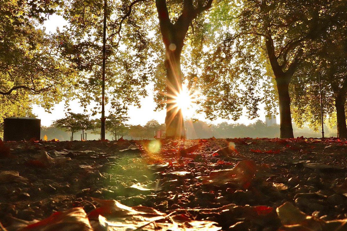 NickDunbar77's tweet photo. Some sunshine, showers and Autumn pictures over the last few days taken in #Batterseapark and #chelseaembankment 🍁🌦☂️@SallyWeather @ChrisPage90 @ThePhotoHour @visitlondon #VisitLondon #stormhour #autumn #Autumnvibes #Chelsea #london #weather https://t.co/43CdHxXBxb