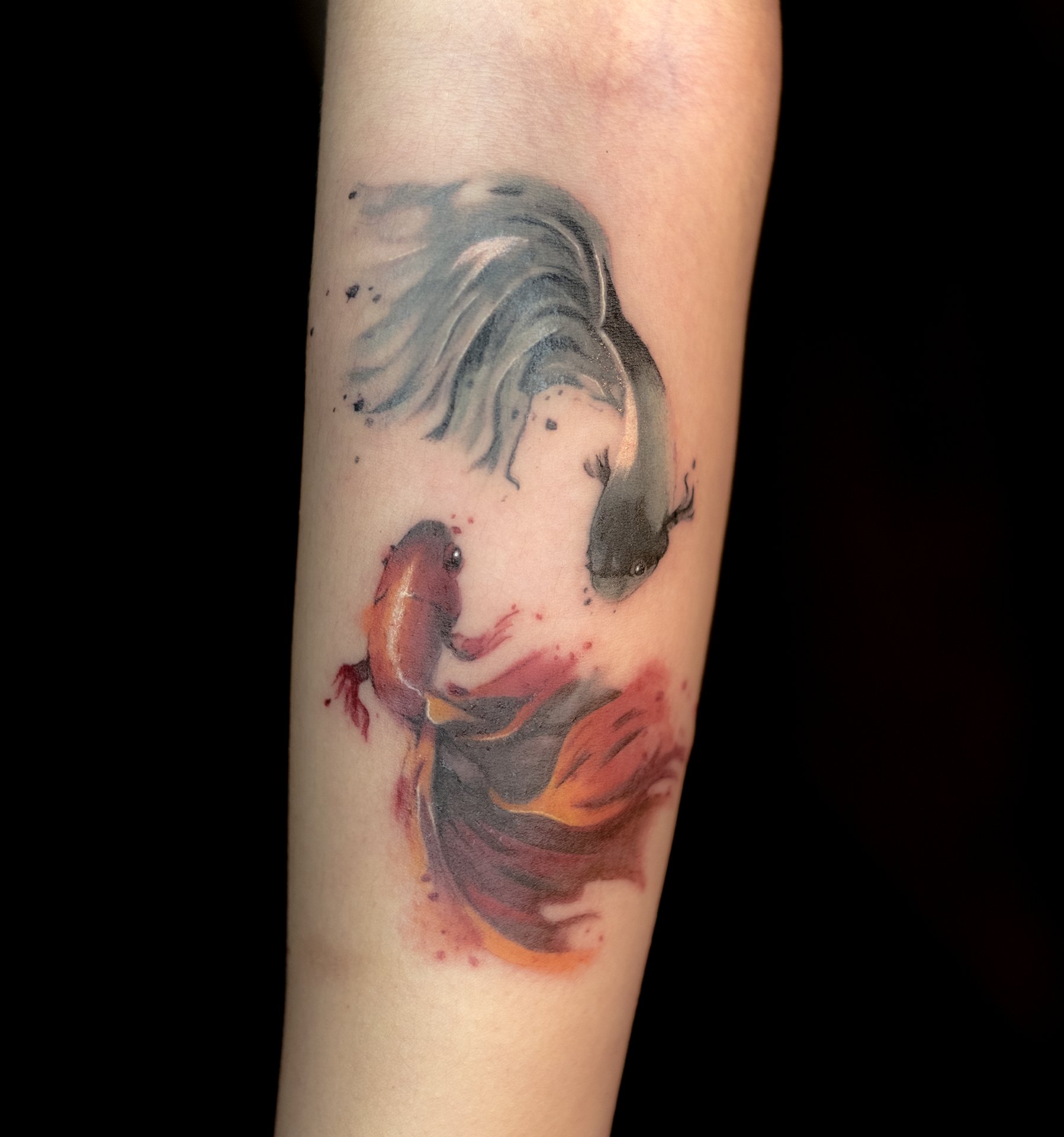 Hira Indelible Ink 金魚 Tattoo Taiwan 刺青 水墨 入れ墨 タトゥー T Co Trzb77md Twitter