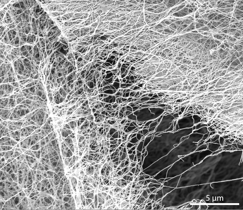 ECOFUNCO_BBI's tweet photo. #Cellulose is the most abundant natural #polymer on earth, mostly available in plants 🌾🌳
Acetic acid 🧪producing bacteria 🦠also generate the so called #bacterial #cellulose
📌Discover more details and its applications here: https://t.co/ACYSvjiMbB
#BBIimpact
#aCircularFuture https://t.co/yU2uRNEwdZ