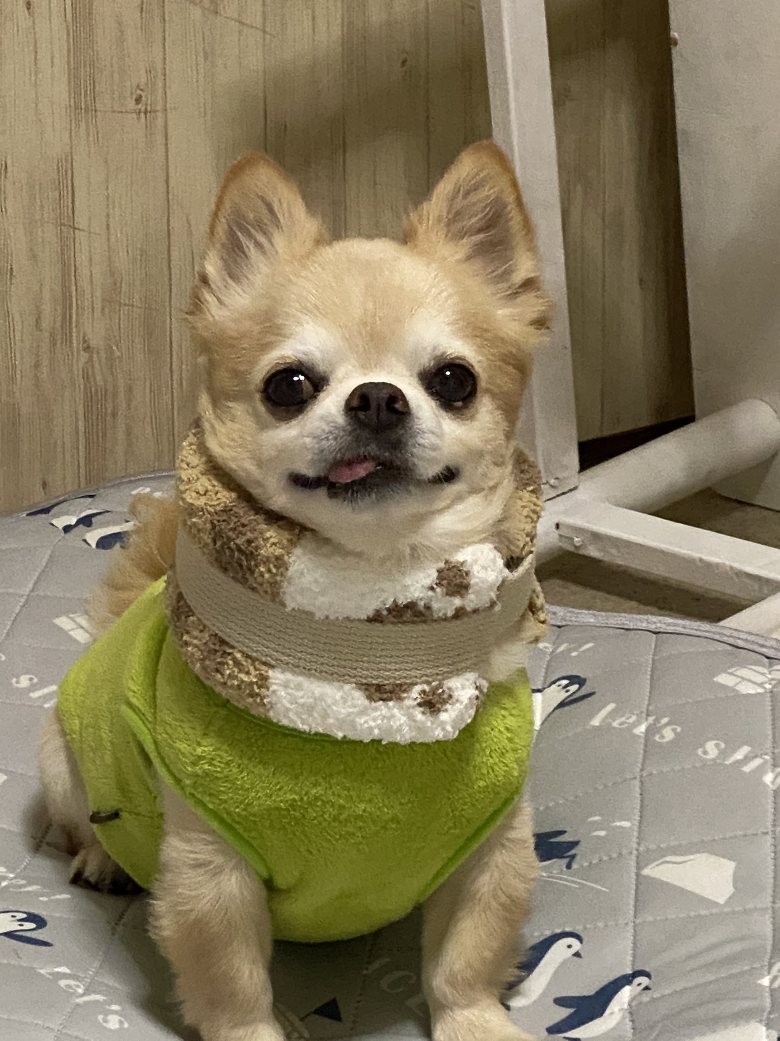 首コルセット Twitter Search Twitter