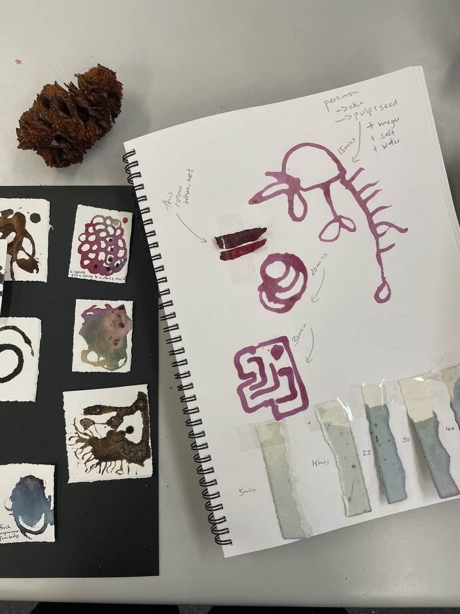 lamis_sabra's tweet photo. INK MAKING @ CARE schools
@formwa @capabilities_wa @IndSchoolsWA Bunbury Reg. Community College

How do you bring the curriculum alive? Co-create cool authentic projects led by the students 🙌🏻

#Perth friends, come visit our celebration of Creative Learning @KidogoArthouse Nov 9 https://t.co/Bsji3C4dxg