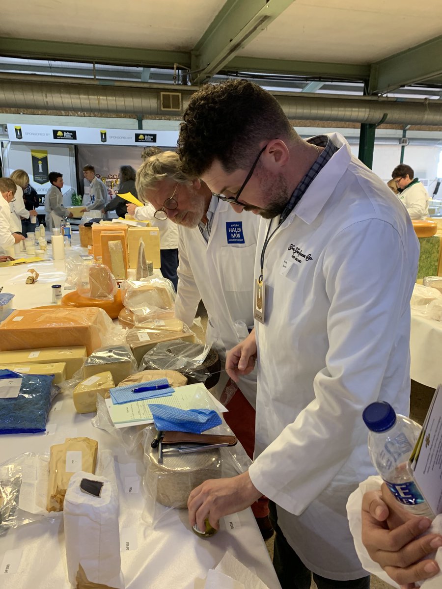 Judging Australian cheese now including a stunning marinated goats cheese