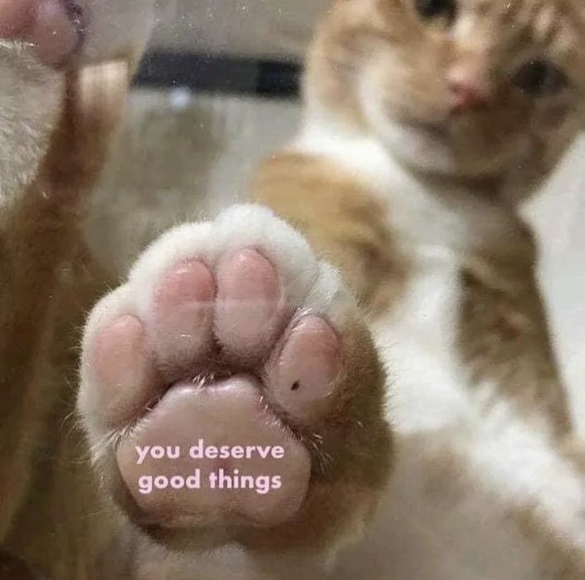 WholesomeMemes (@wholesomememe) on Twitter photo 