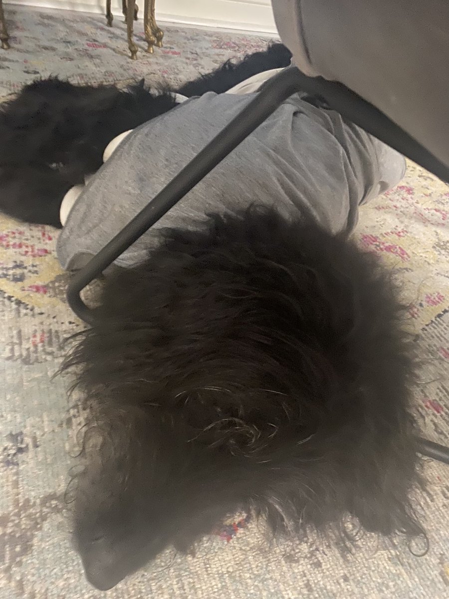 emmakennytv's tweet image. She’s asleep under my chair as I film my YouTube. We both know it’s nearly time to say goodbye…neither quite ready just yet….trusting we will both gracefully agree to cut the cord when the time is right…both greedy for more. She’s been my stead for so long xx