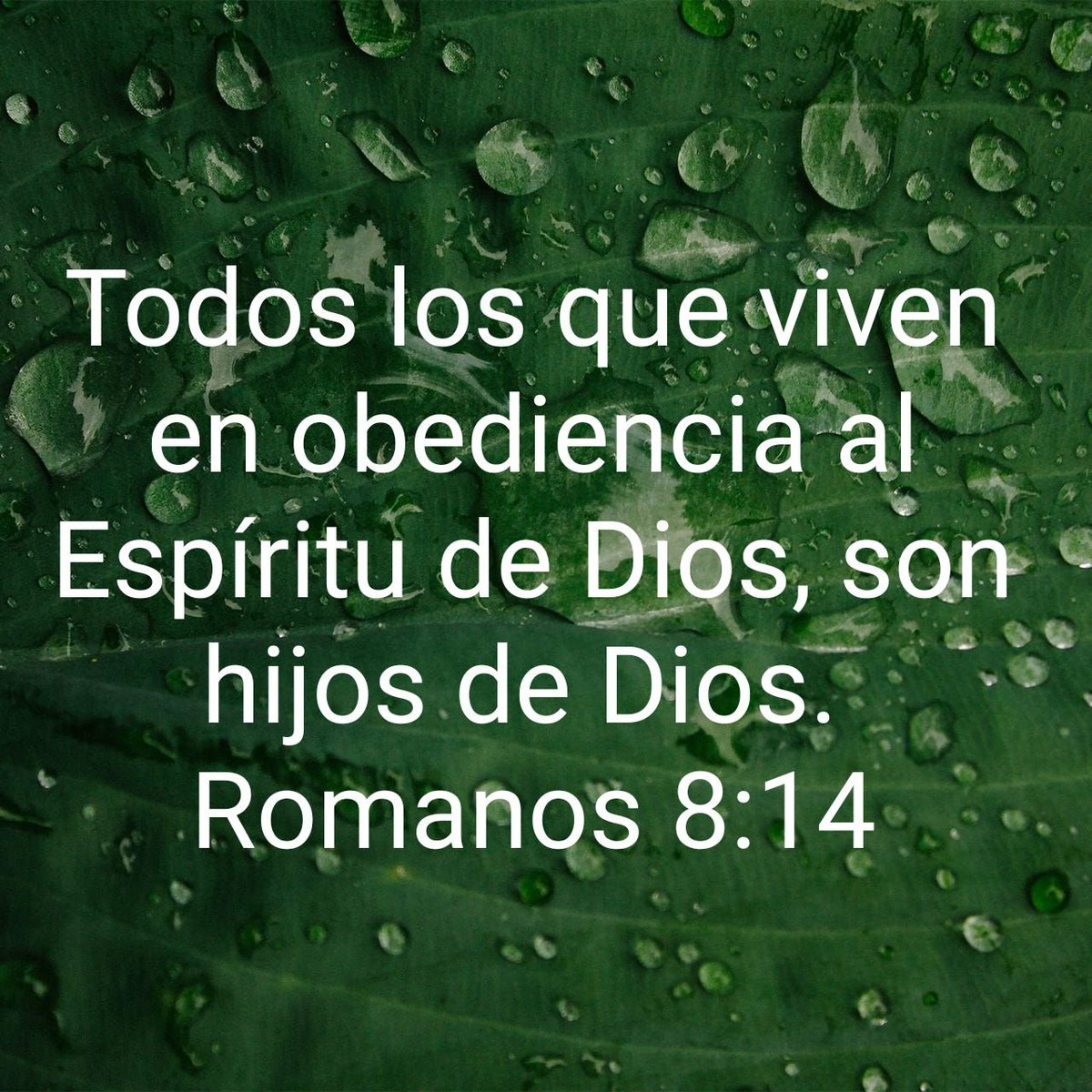 pastorponcho's tweet photo. VIVAMOS BAJO EL DOMINIO DEL ESPÍRITU SANTO COMO VERDADEROS HIJOS E HIJAS DEL PADRE JEHOVÁ Y JESUCRISTO!! AMÉN 🙌 https://t.co/HNKkXAvto9