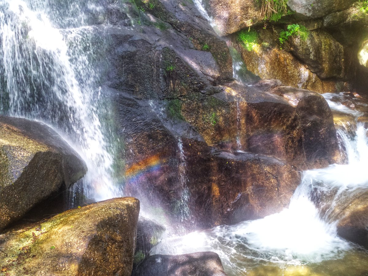 Fotografía ganadora del Concurso de Fotografía con Móvil.