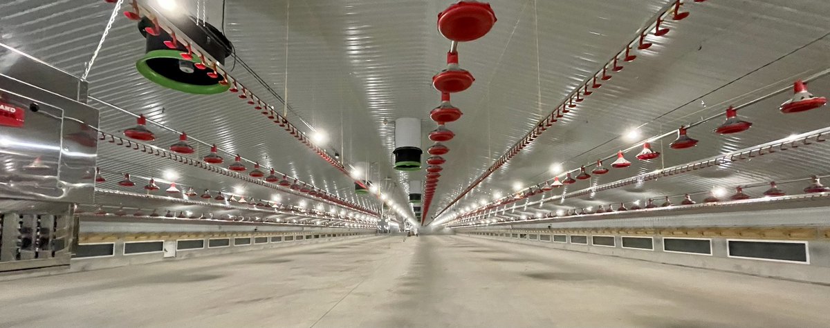 Final commissioning at this six house site near Thirsk. Build by <a href="/ClarkeGroup1/">Clarke Group Ltd</a> with <a href="/Knightsconcrete/">Knights Construction Group</a>. Supply by <a href="/jfmckennaltd/">JF McKenna Ltd</a> with <a href="/fancombv/">Fancom</a> <a href="/choretime/">Chore-Time</a> <a href="/CollinsonAgri/">Collinson Silos 🇬🇧</a> and <a href="/lubinguk/">Lubing UK & Ireland</a>