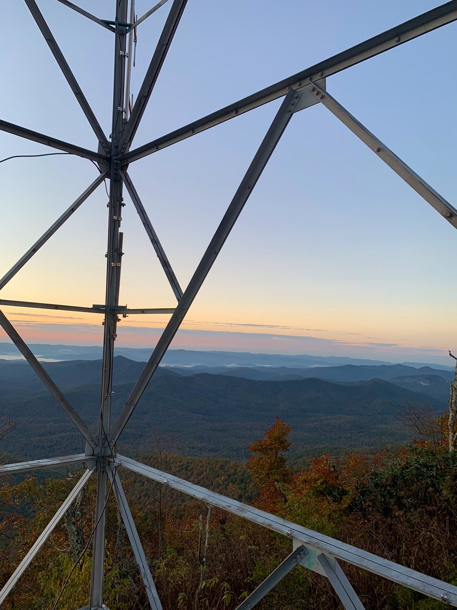 meredith tweet media