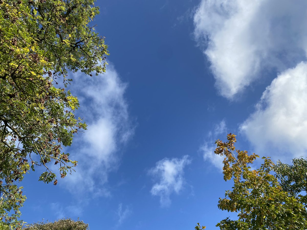 davidgilroyBVT's tweet photo. A smashing day here in #athboy. It’s probably just as good where you are. #trees ##clouds #bluebits #speir #crann https://t.co/KGJ68mn874