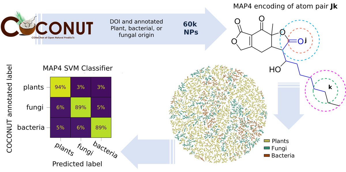 Reymond Group tweet media