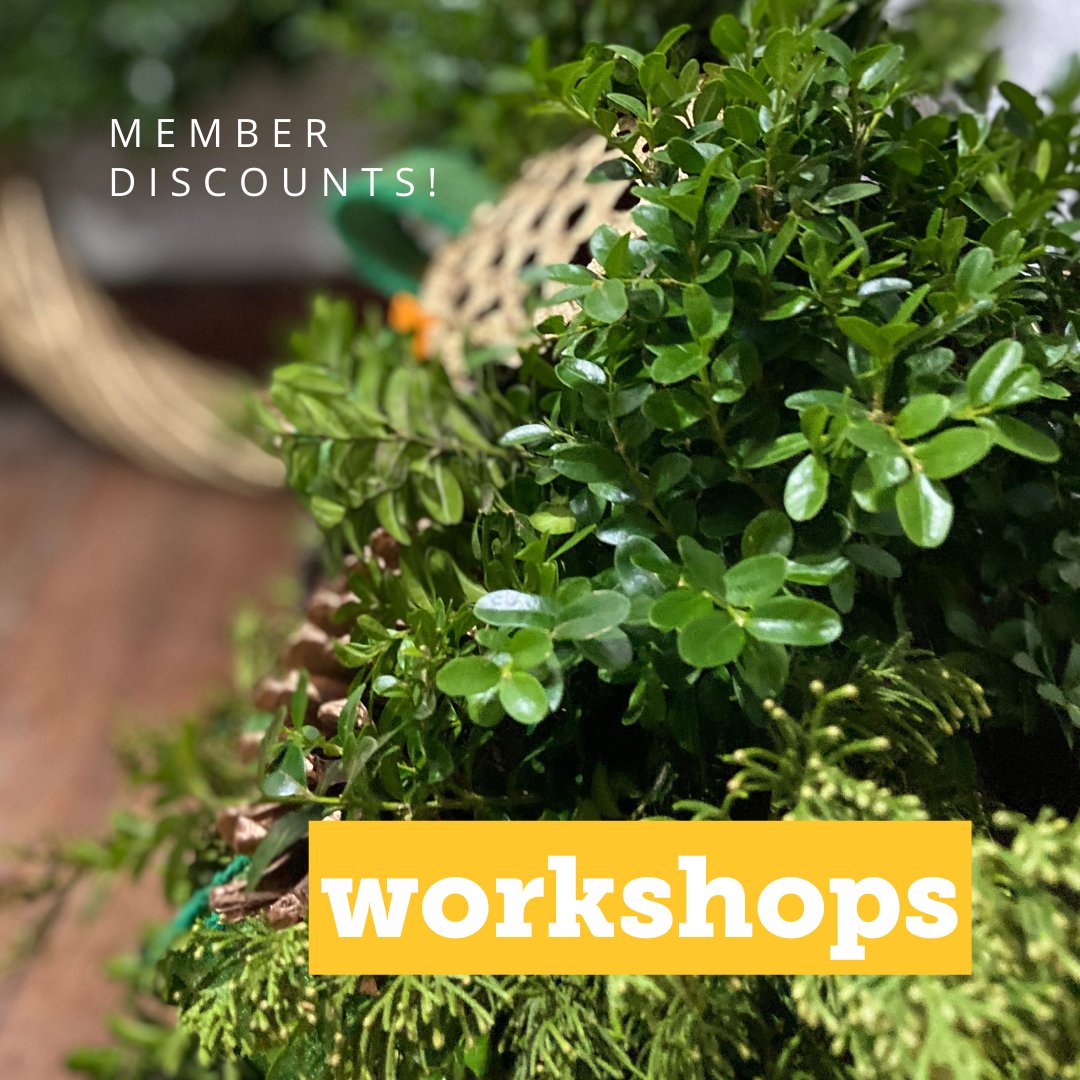 There are a few more spaces available for our fall/winter workshops!

Gingerbread Past
November 13

Evergreens
December 4

Info available  hsmcdigshistory.org/events/

#MuseumWorkshops #HandsOn #CookingWorkshop #EvergreensWorkshop #MuseumProgram #LivingHistory