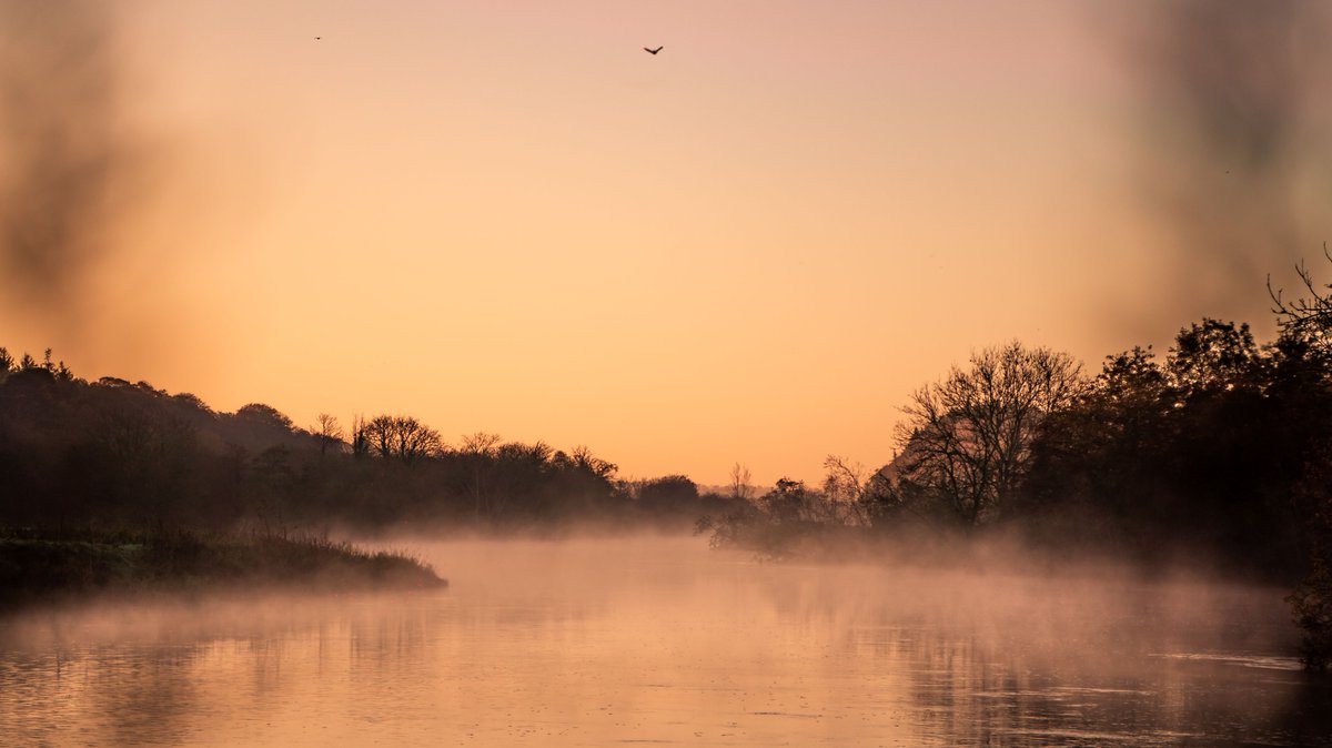 visitwexford's tweet photo. Loving this stunning autumnal shot 🌅
What's your favourite thing about Autumn in Wexford?🍂
Plan Autumn ahead at https://t.co/caxUJVo0Pk💜💛
#WexfordMemories #FallInLoveWithWexford #VisitWexford #KeepDiscovering #BestForSun #BestForFun #BestForTrails #IrelandsAncientEast https://t.co/sbcCQGW5lN