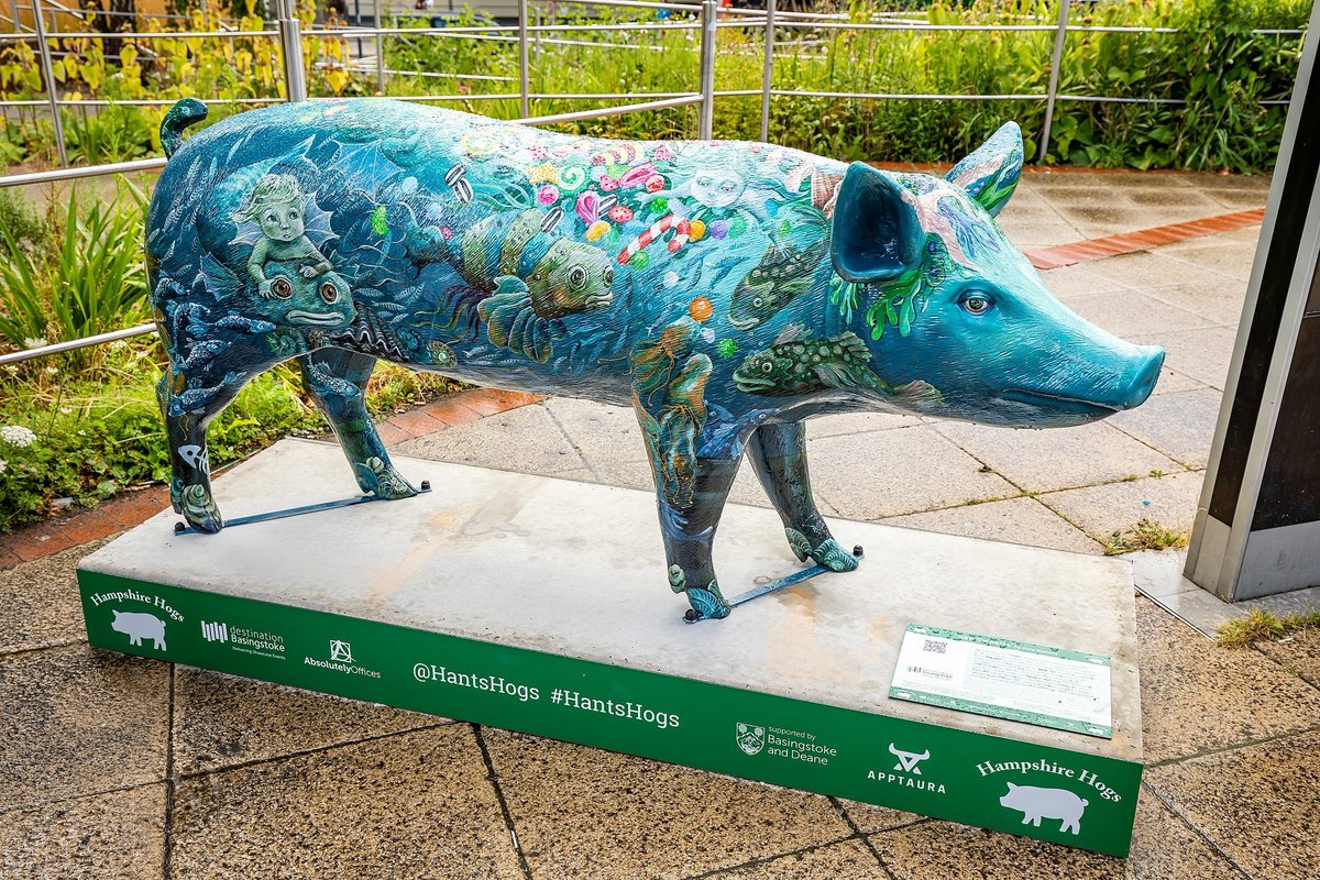 BasingstokeGov's tweet photo. The #HantsHogs are being auctioned off for charity today from 6.30pm. Did you have a favourite hog? Here's your chance to take it home!
Visit: https://t.co/aupGBGS9Ri https://t.co/6D44o37es3