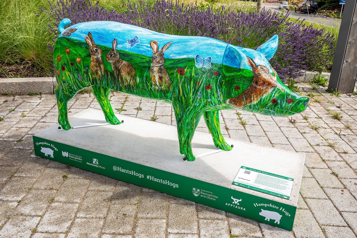 BasingstokeGov's tweet photo. The #HantsHogs are being auctioned off for charity today from 6.30pm. Did you have a favourite hog? Here's your chance to take it home!
Visit: https://t.co/aupGBGS9Ri https://t.co/6D44o37es3